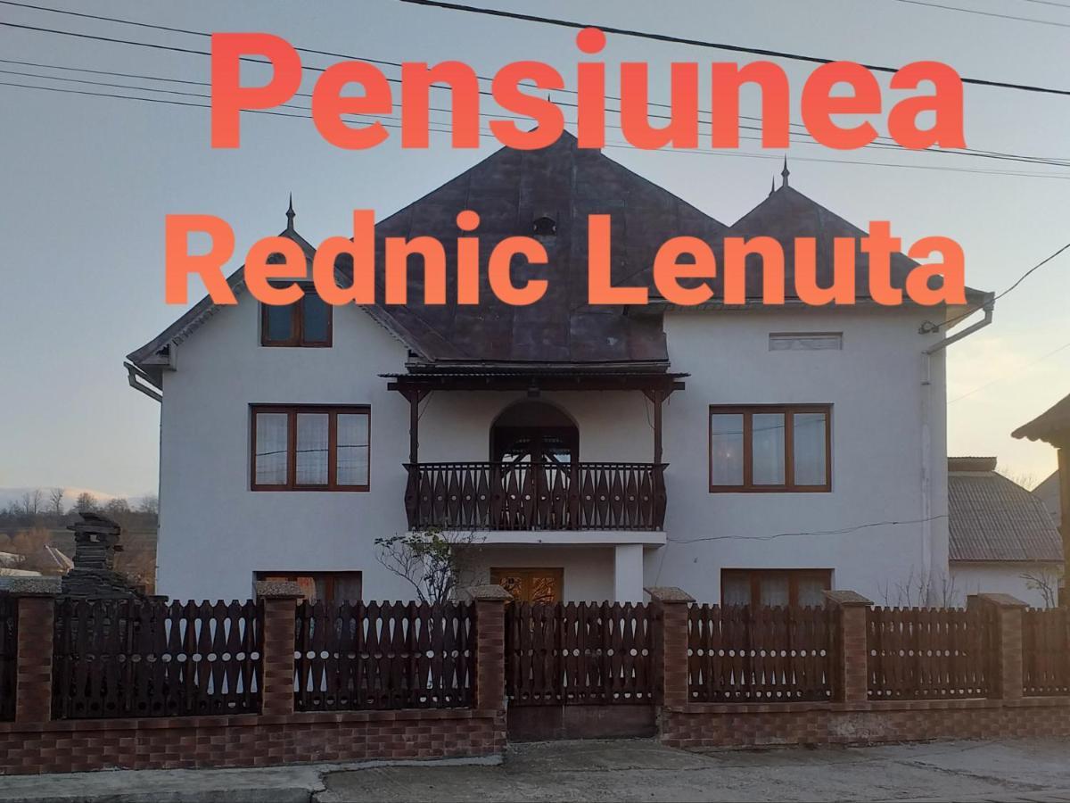 Pensiunea Rednic Lenuta Giulesti エクステリア 写真